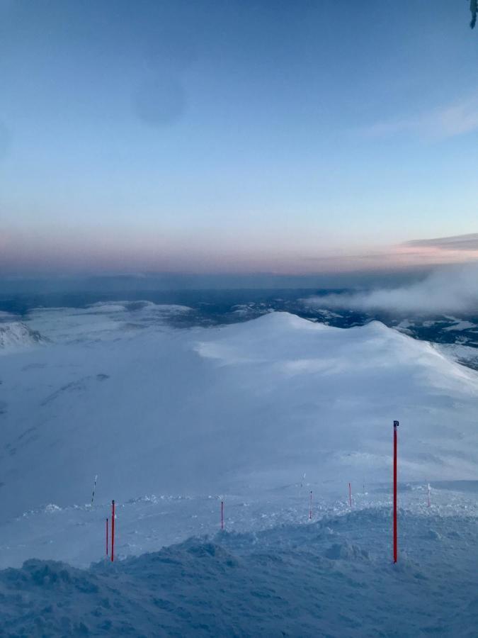 Tuddal Hyttegrend, Gamlestugu, Telemark Экстерьер фото